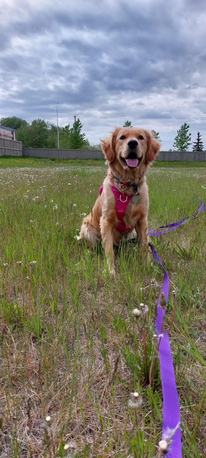 Bailey