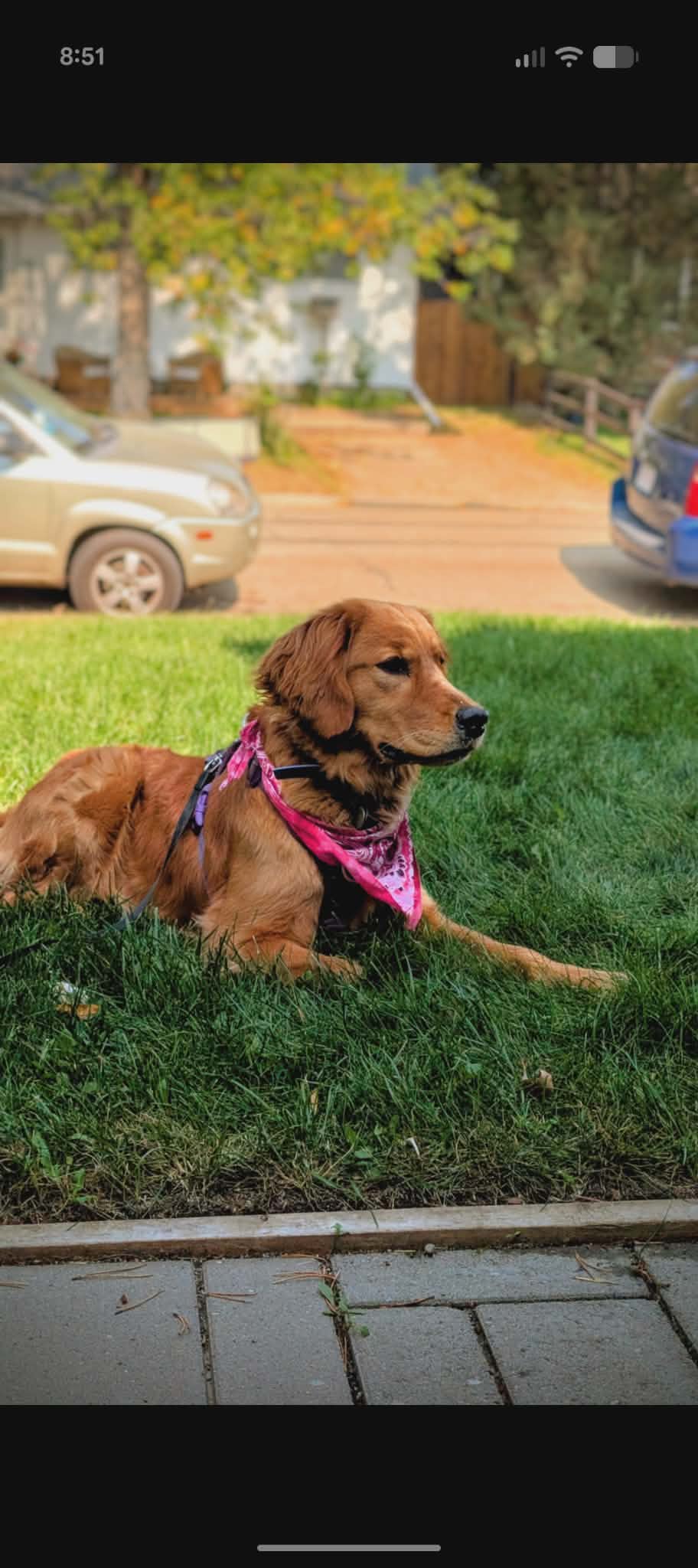 Dakoda (Koda)